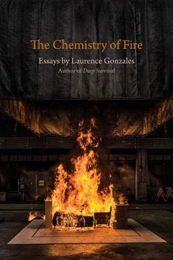 The Chemistry of Fire