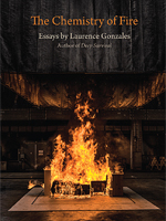 The Chemistry of Fire